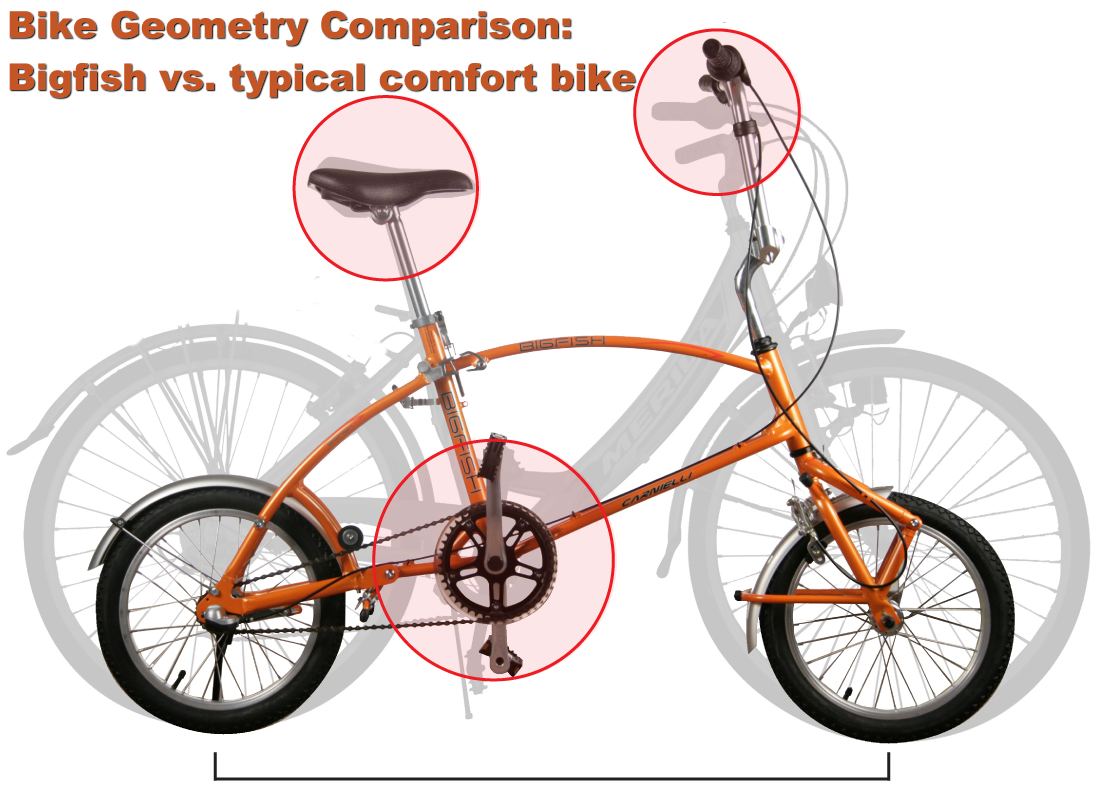 Bigfish - same geometry as standard sized bike
